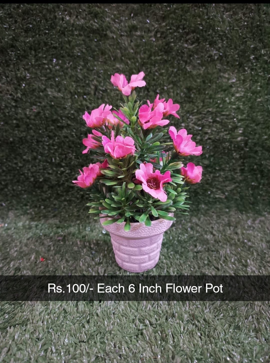 Decoration Flower Pot