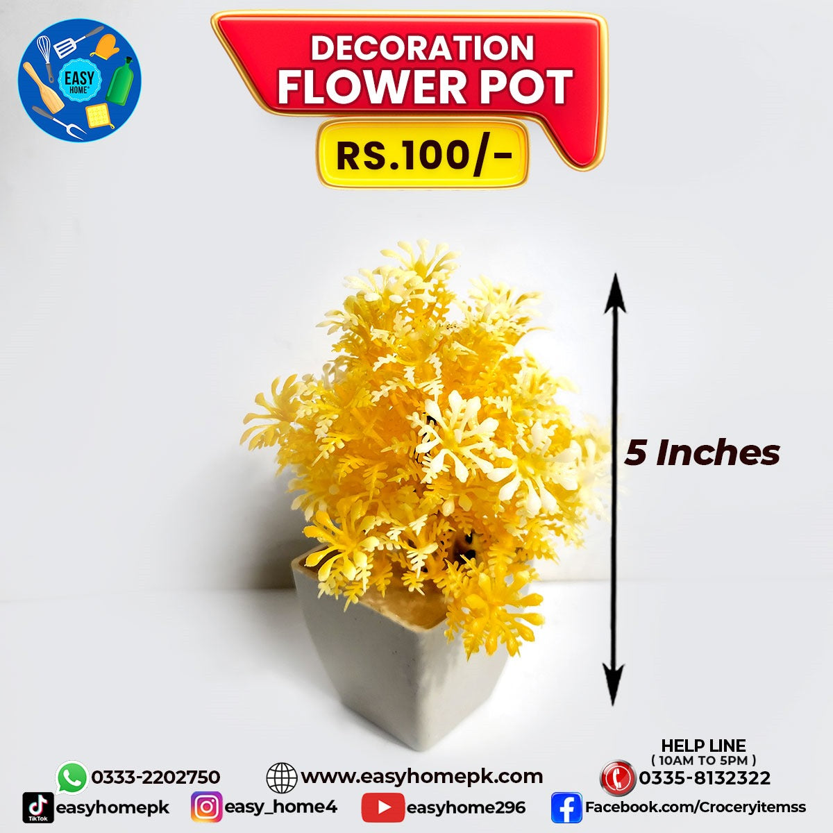 Decoration Flower Pot