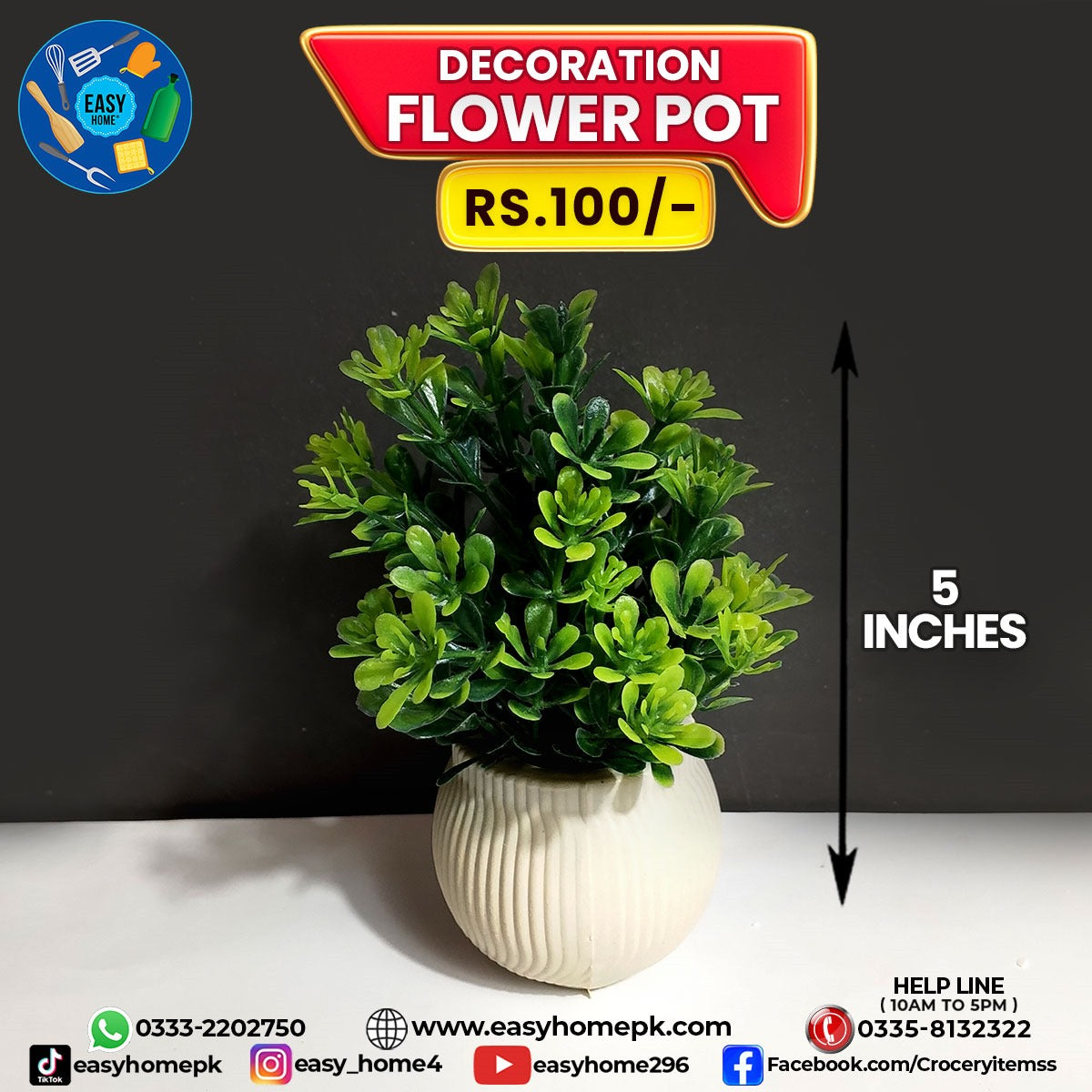 Decoration Flower Pot