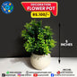 Decoration Flower Pot