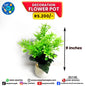 Decoration Flower Pot - Large
