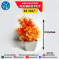 Decoration Flower Pot