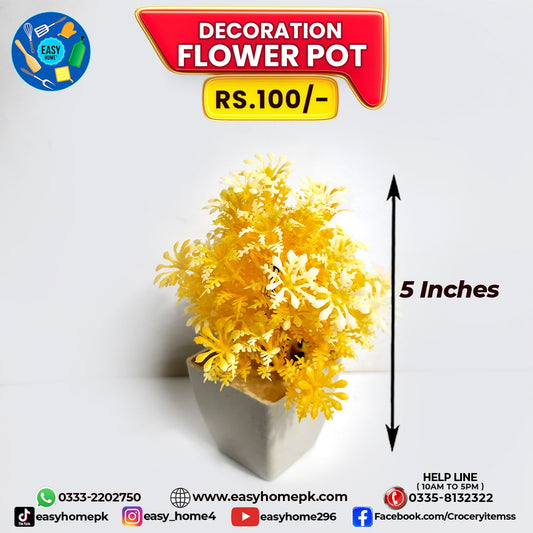 Decoration Flower Pot