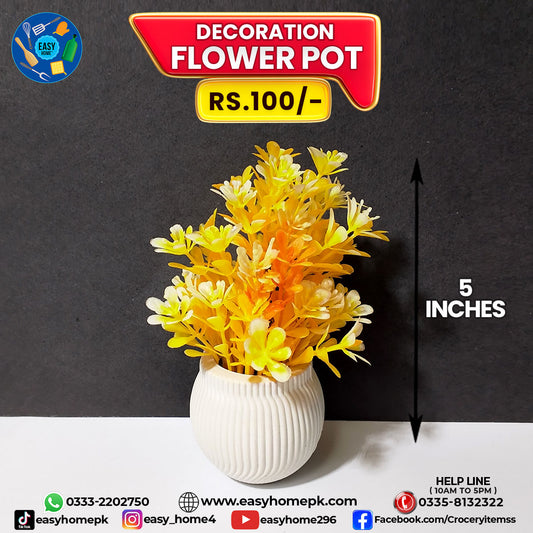 Decoration Flower Pot
