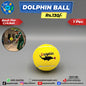 Dolphin Cricket Ball