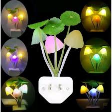 LED Night Light