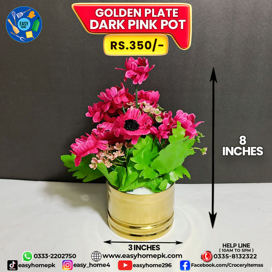 Golden Plate Pot