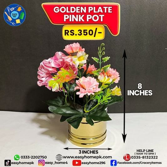 Golden Plate Pot