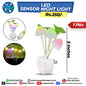 LED Sensor Night Light