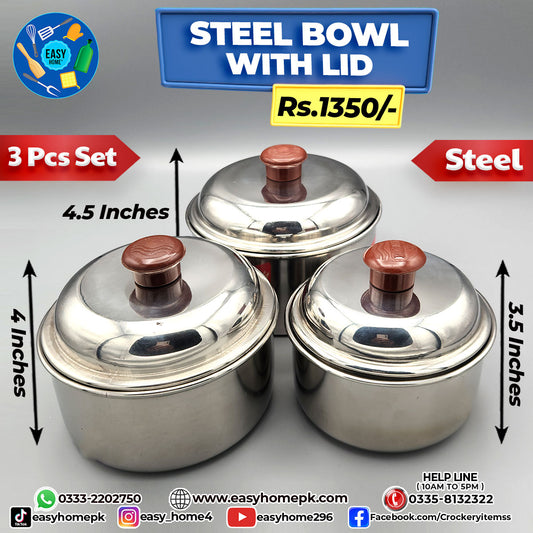 Steel Bowl With lid Set