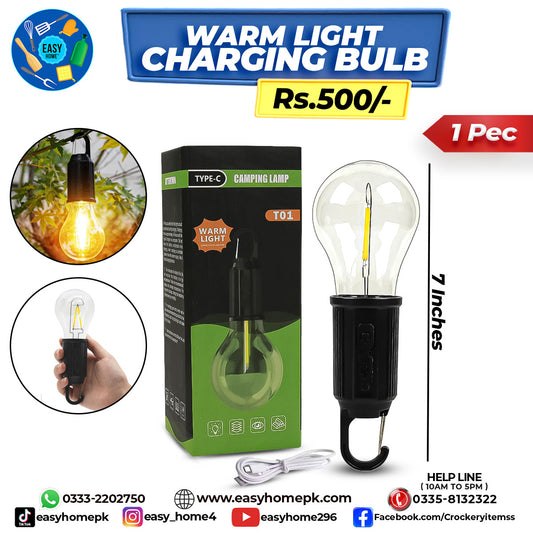 Warm Light Charging Bulb